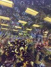 IMG_7999.jpeg