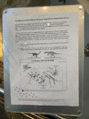 IMG_8005.jpeg