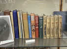 IMG_8017.jpeg