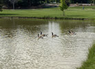 IMG_8027.jpeg