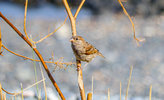 IMG_2067.jpg