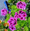 PXL_20230723_180751405~2.jpg