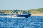 DSC05265.jpg
