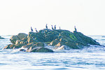 DSC05331.jpg