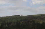 IMG_8291.jpeg
