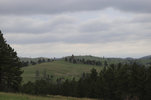 IMG_8293.jpeg
