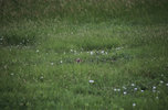 IMG_8296.jpeg
