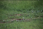 IMG_8297.jpeg
