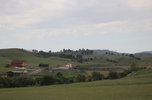 IMG_8301.jpeg