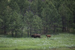 IMG_8312.jpeg