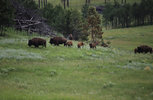 IMG_8313.jpeg