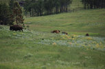 IMG_8314.jpeg