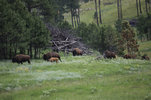 IMG_8318.jpeg