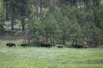 IMG_8319.jpeg