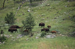 IMG_8320.jpeg