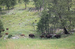 IMG_8322.jpeg