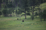 IMG_8326.jpeg