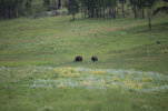 IMG_8327.jpeg