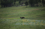 IMG_8328.jpeg