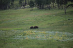 IMG_8329.jpeg