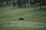 IMG_8330.jpeg