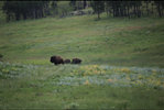 IMG_8331.jpeg