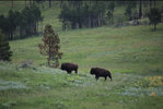 IMG_8332.jpeg