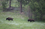 IMG_8334.jpeg