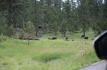 IMG_8335.jpeg