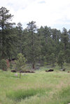 IMG_8336.jpeg