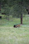 IMG_8341.jpeg
