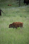 IMG_8347.jpeg