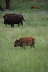 IMG_8348.jpeg