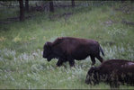 IMG_8349.jpeg