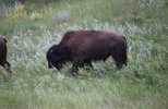 IMG_8354.jpeg