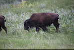 IMG_8355.jpeg