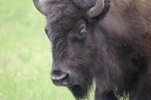 IMG_8356.jpeg