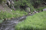IMG_8359.jpeg