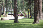 IMG_8360.jpeg