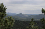 IMG_8366.jpeg