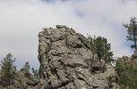 IMG_8375.jpeg