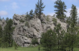 IMG_8377.jpeg