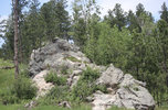 IMG_8378.jpeg
