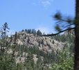 IMG_8380.jpeg