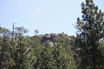 IMG_8381.jpeg