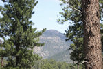 IMG_8383.jpeg