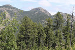 IMG_8389.jpeg