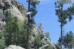 IMG_8395.jpeg