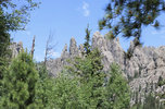 IMG_8397.jpeg