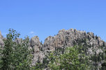 IMG_8398.jpeg